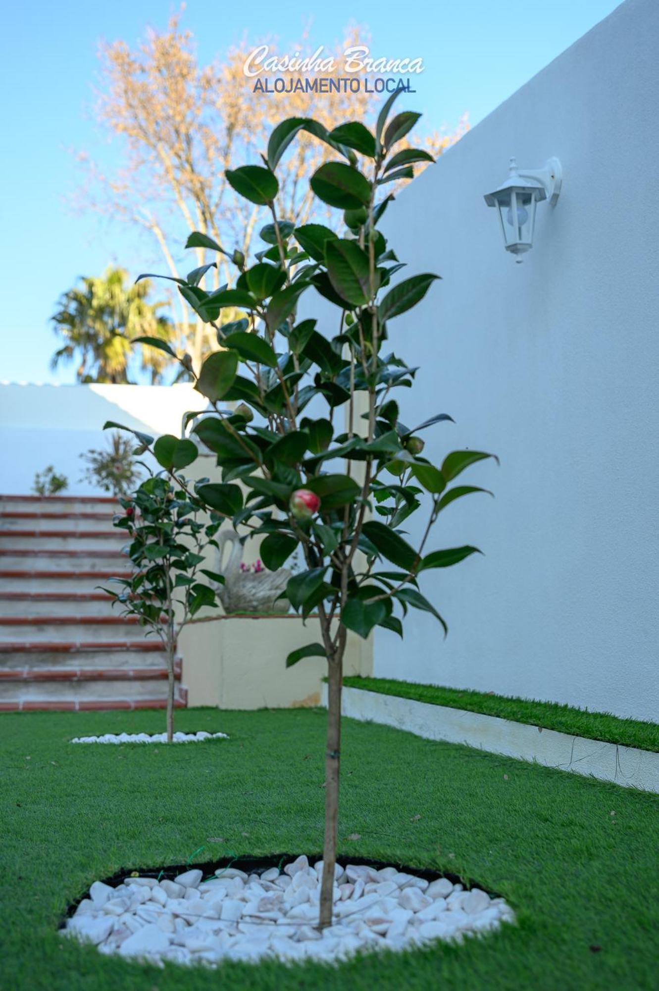 Casinha Branca Fundão